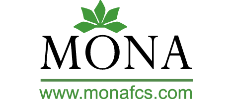 MONA Financial Consultancy